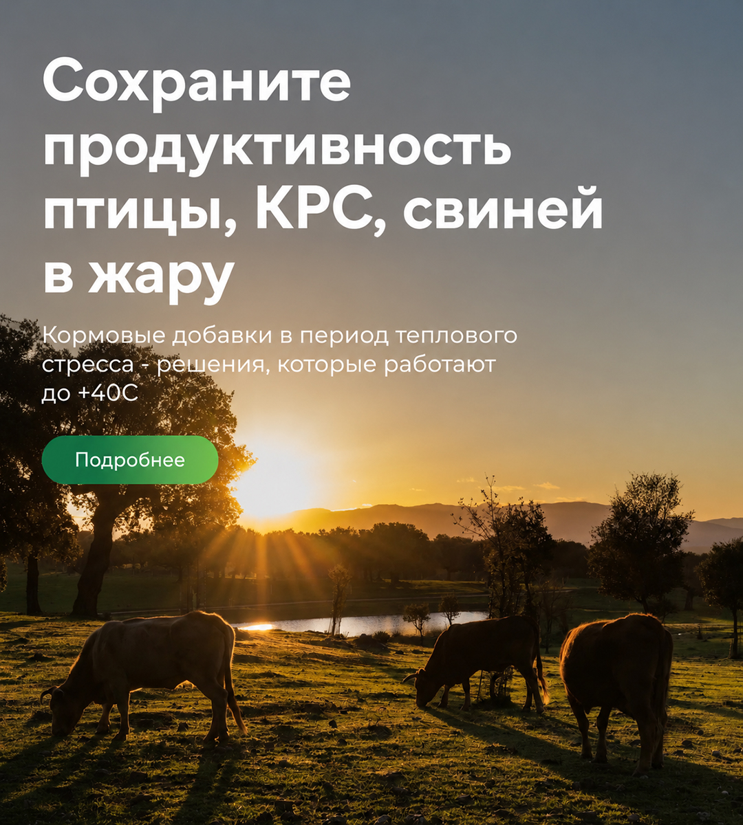 Тепловой стресс