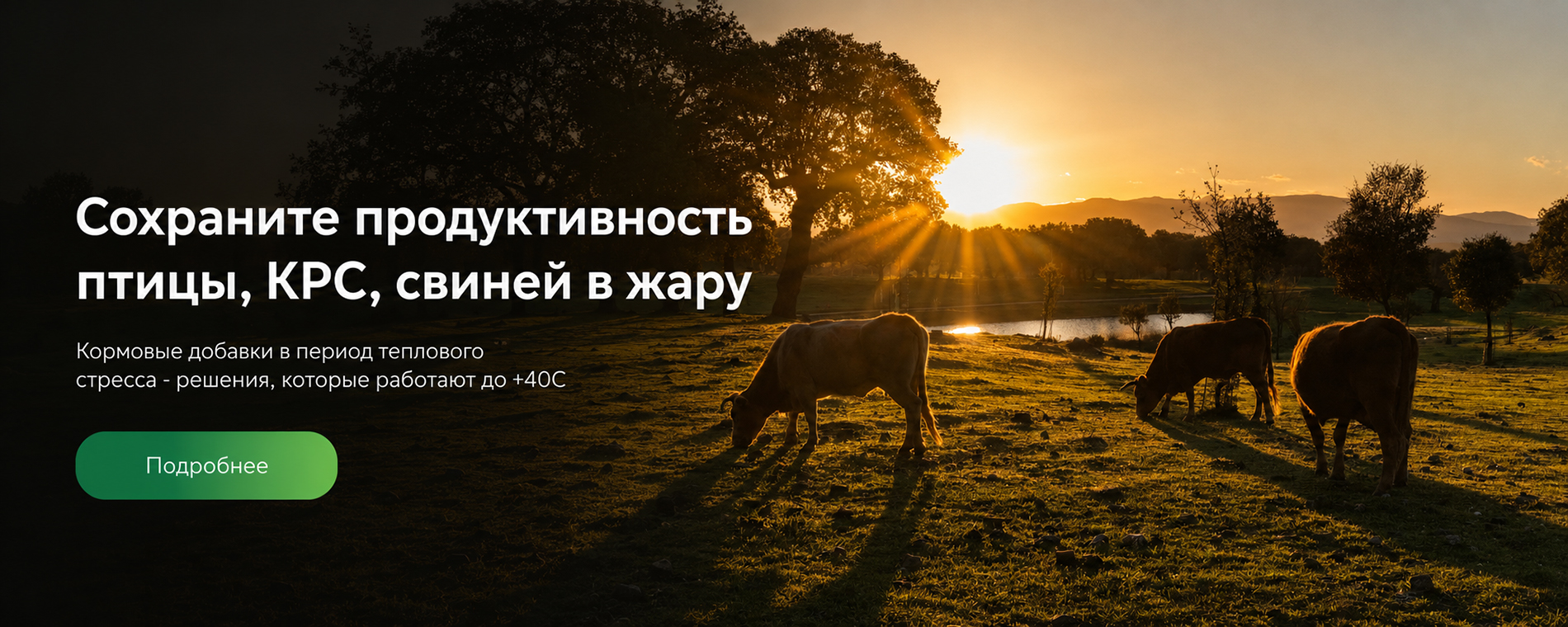 Тепловой стресс