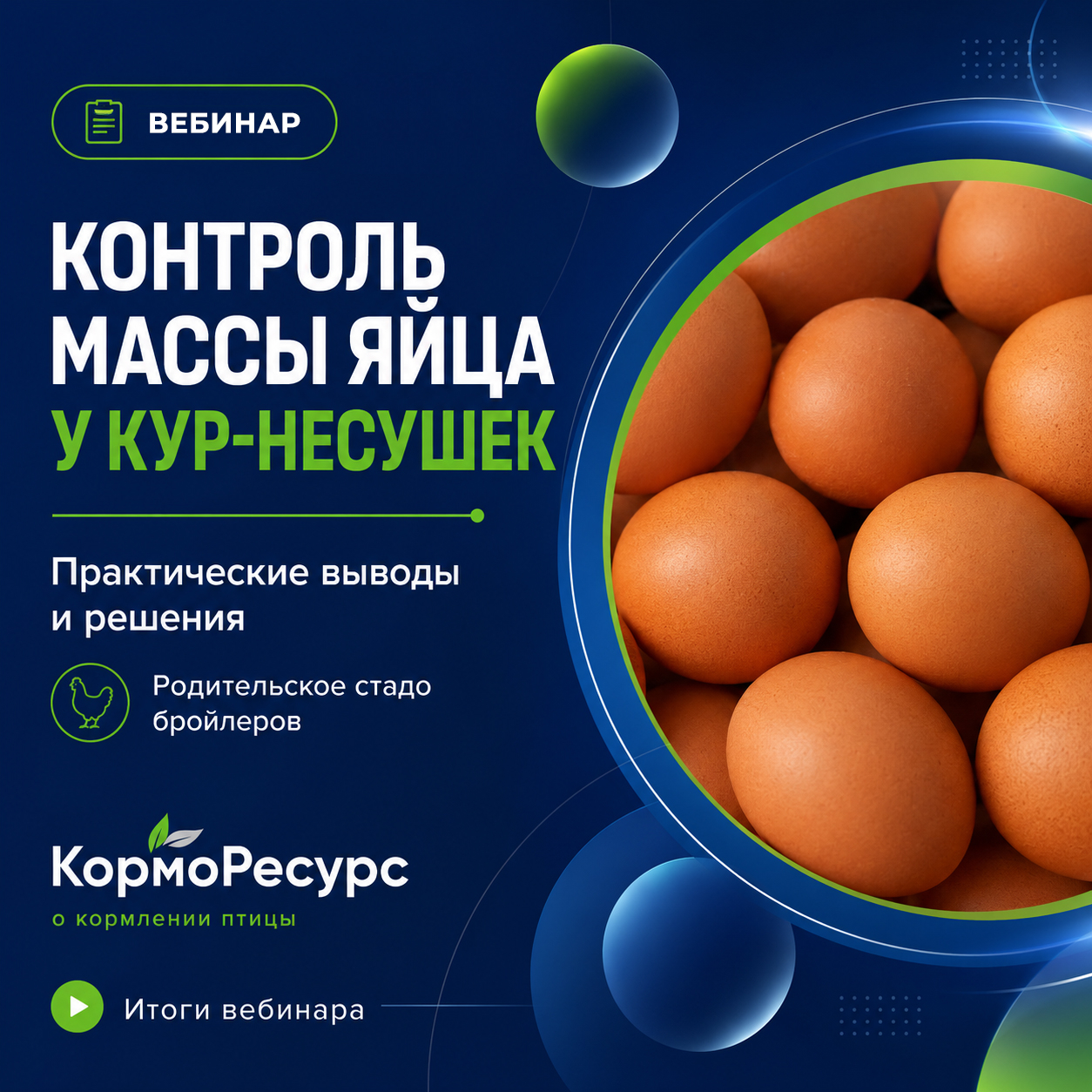 Контроль массы яйца у кур-несушек