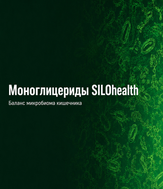 Моноглицериды SILOhealth обеспечивают баланс микробиома кишечника и максимальную продуктивность
