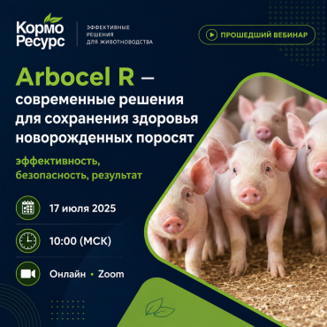 Arbocel R для новорожденных поросят — вебинар КормоРесурс