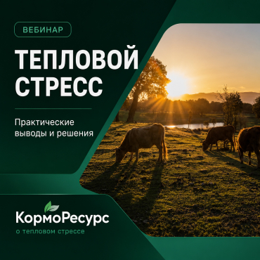 Вебинар "Тепловой стресс у КРС — профилактика потерь продуктивности" Вебинар "Тепловой стресс у КРС — профилактика потерь продуктивности"
