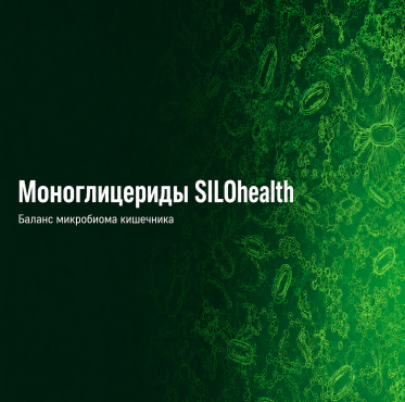 Моноглицериды SILOhealth обеспечивают баланс микробиома кишечника и максимальную продуктивность Моноглицериды SILOhealth обеспечивают баланс микробиома кишечника и максимальную продуктивность