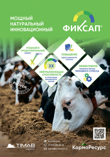 Эффективная профилактика ацидоза и теплового стресса у молочных коров