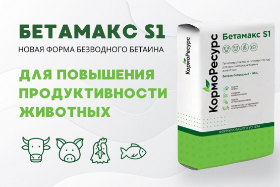 Бетамакс S1
