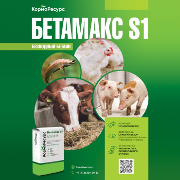 БЕТАМАКС S1