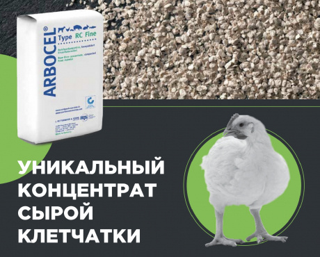 Как увеличить количество цыплят на начальную несушку