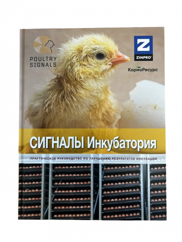Сигналы Инкубатория