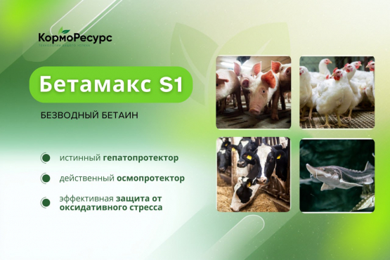 Бетаин Бетамакс S1 (96%)  - универсальное решение для повышения продуктивности, здоровья и рентабельности в животноводстве, птицеводстве и аквакультуре.