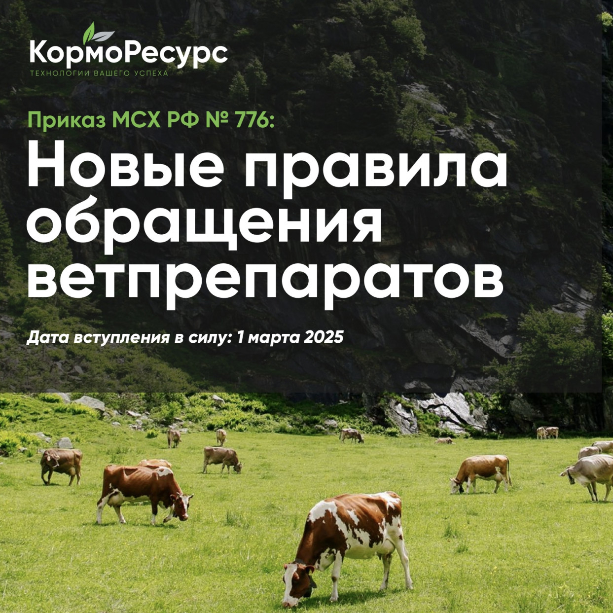Новые правила обращения ветпрепаратов