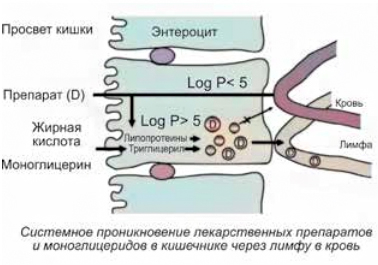 Системное проникновение лекарственных препаратов