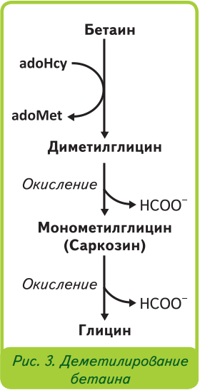 Деметилирование бетаина Деметилирование бетаина