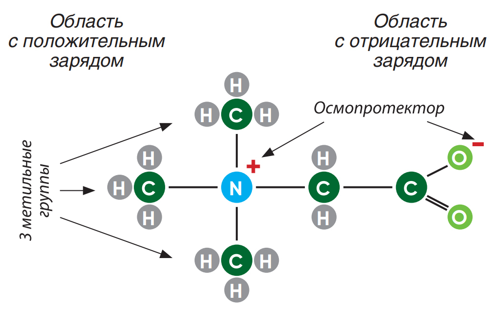 Рисунок 4 &ndash; Структурная формула бетаина