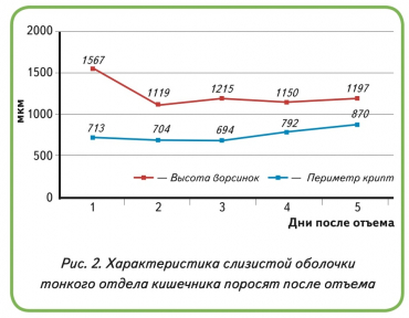 Характеристика слизистой оболочки тонкого отдела кишечника поросят после отъема