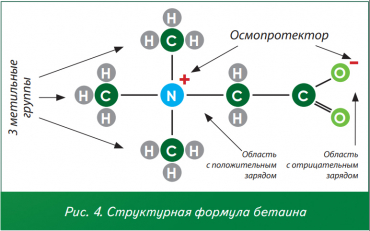 Структурная формула бетаина Структурная формула бетаина