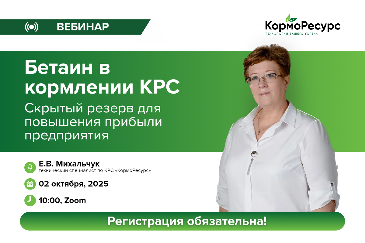Бетаин в кормлении КРС