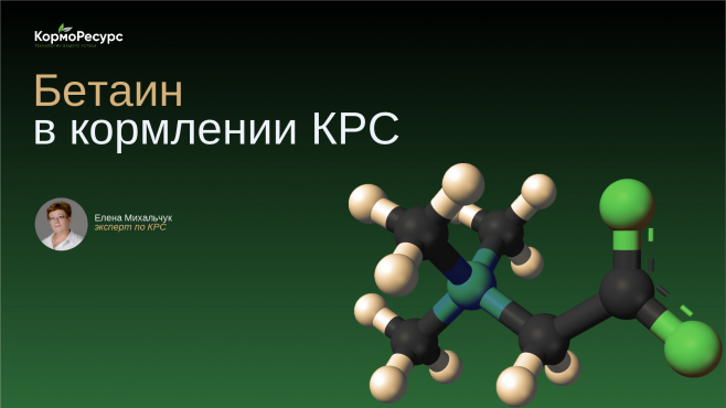 Главные выводы по бетаину (Бетамакс S1)