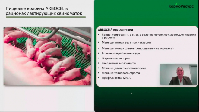 «КормоРесурс» провёл вебинар для студентов Тимирязевской академии