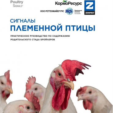 Книга Сигналы племенной птицы