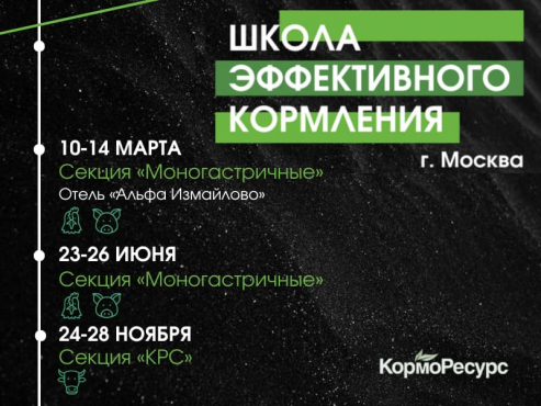 Школа эффективного кормления
