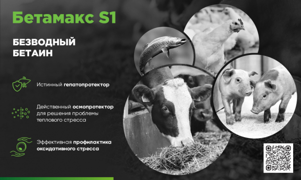 Бетамакс S1- инновационная форма безводного бетаина