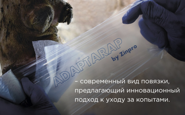 ADAPTARAP для копыт