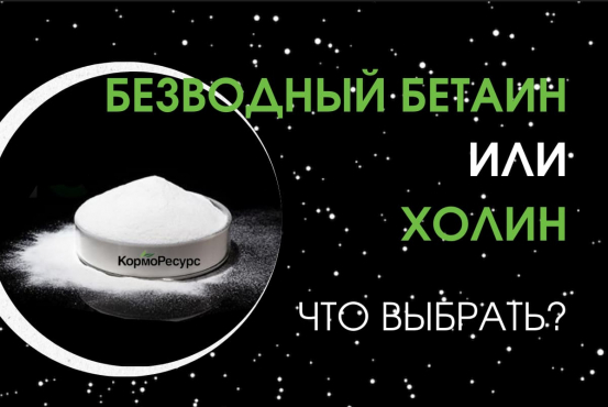 Холин и бетаин в кормлении животных