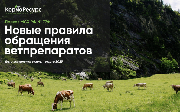 Эксперты «КормоРесурс» обсудили ключевые изменения в регулировании применения ветеринарных препаратов