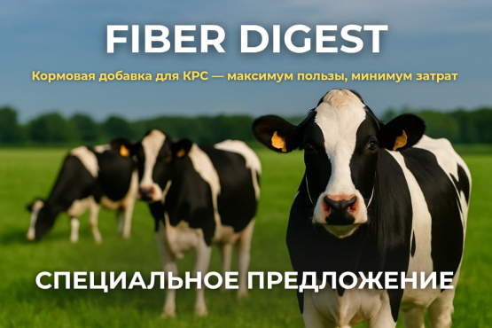 Летняя акция: Fiber Digest