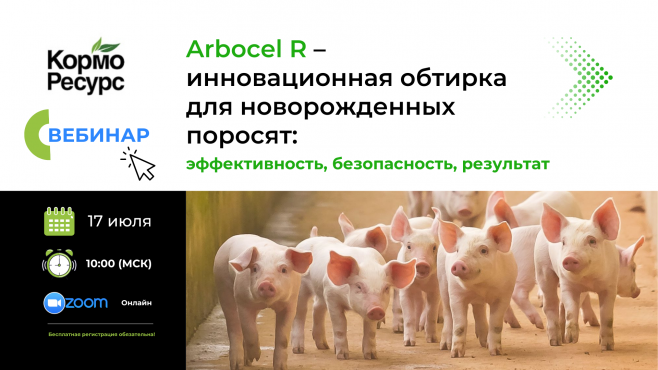 Экспертный вебинар