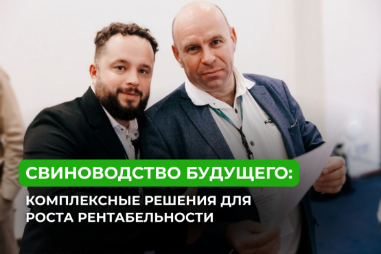 Как повысить рентабельность свиноводства