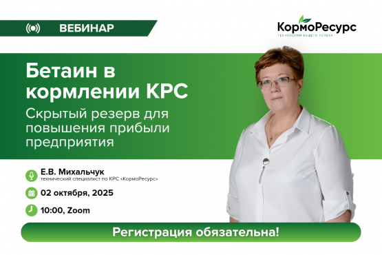 Бетаин в кормлении КРС