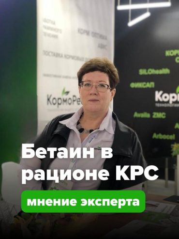 Бетаин в кормлении КРС. Раскрываем скрытый резерв для рентабельности предприятия