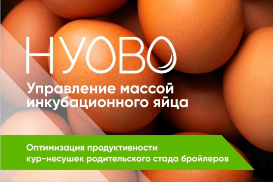 Новый инструмент для повышения рентабельности «НУОВО» помогает контролировать вес инкубационного яйца