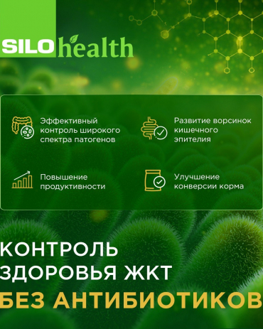 «КормоРесурс» объявляет специальные условия на продукты Cилохелс для контроля патогенов и повышения продуктивности животных.