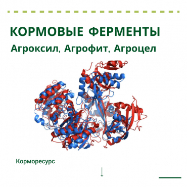 5 признаков качественных кормовых ферментов!