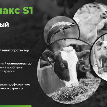 Бетамакс S1- инновационная форма безводного бетаина