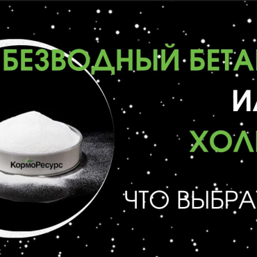 Холин и бетаин в кормлении животных